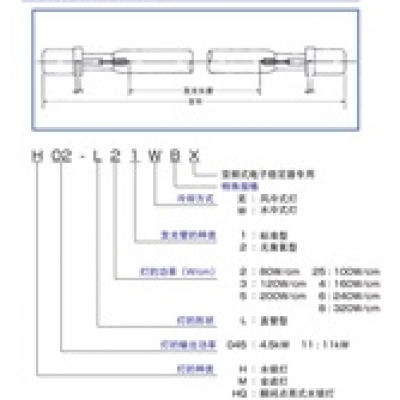 EYE華南總代理EYE巖崎 120W水冷水銀燈H09-L31W H09-L31W 巖崎